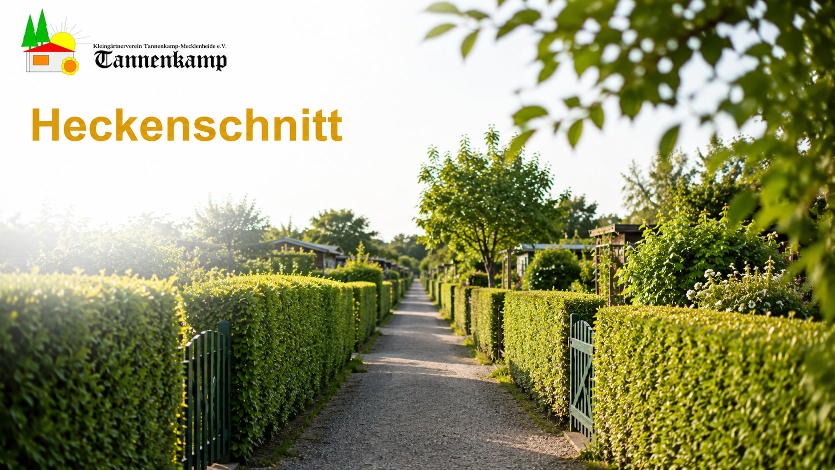 kgv tannenkamp mecklenheide heckenschnitt